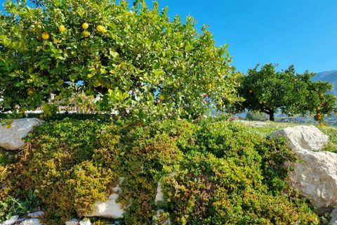 Landejendom i Alcaucin, Malaga, Alcaucin - € 374.950 | Ref: AX1379 - foto 43